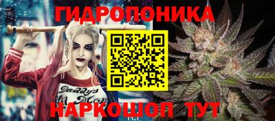 спайс Боровичи